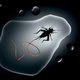 Illustration for article titled These parasite bugs can control their hosts brains from inside